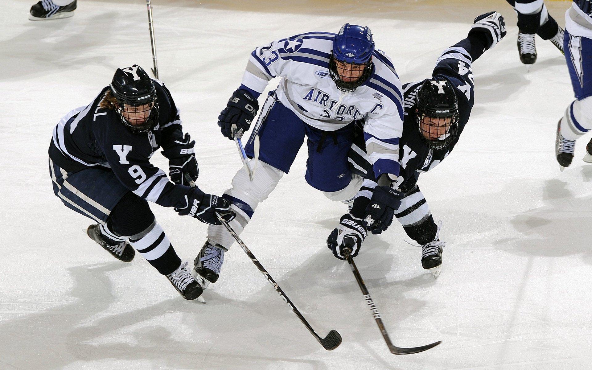 冠军队伍：他们是如何登顶的？，冠军是怎么练出来的